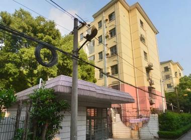 古美七村 1室1厅1卫