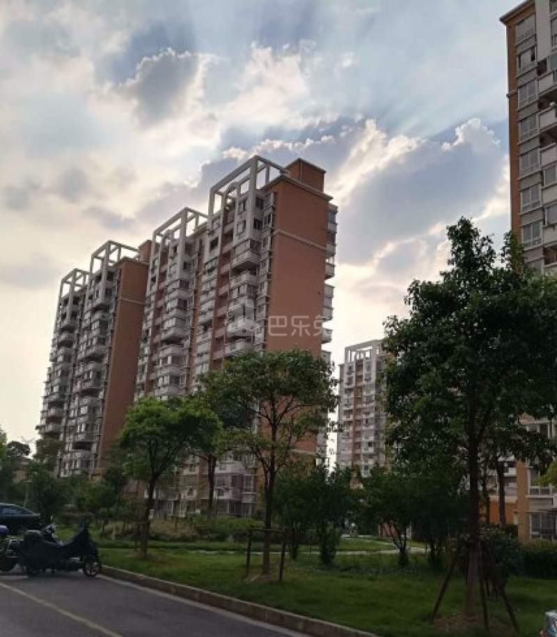 新月鸿锦苑2期西区8246605周边环境图13