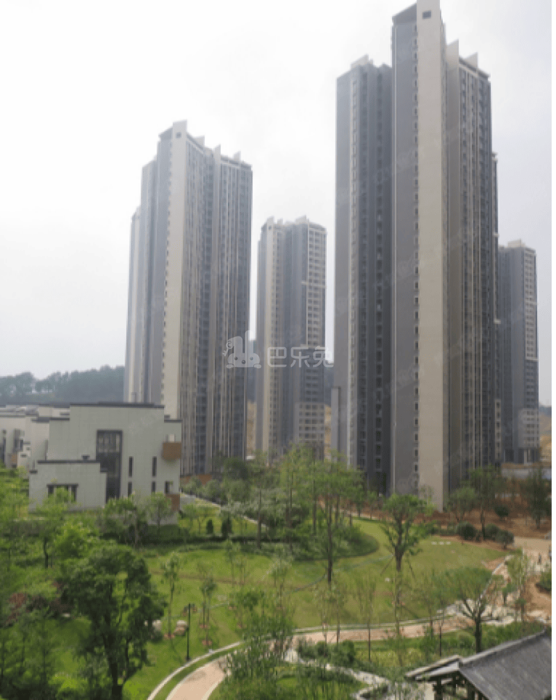 招村新街10401872周边环境图3