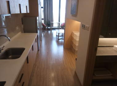 绿地旭辉城 1室1厅1卫