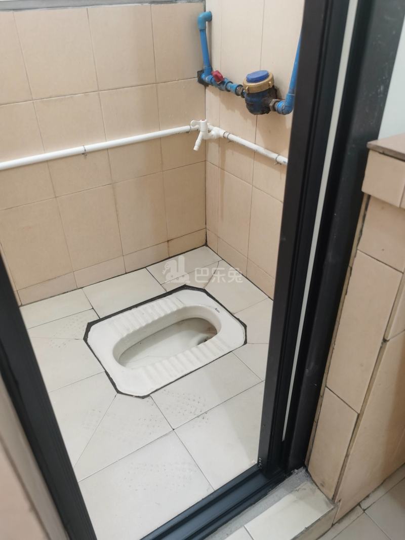 植村五路东二区一巷8号10000885卫生间图3