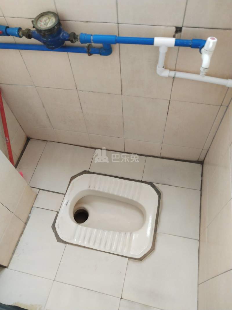 植村五路东二区一巷8号10000901卫生间图6