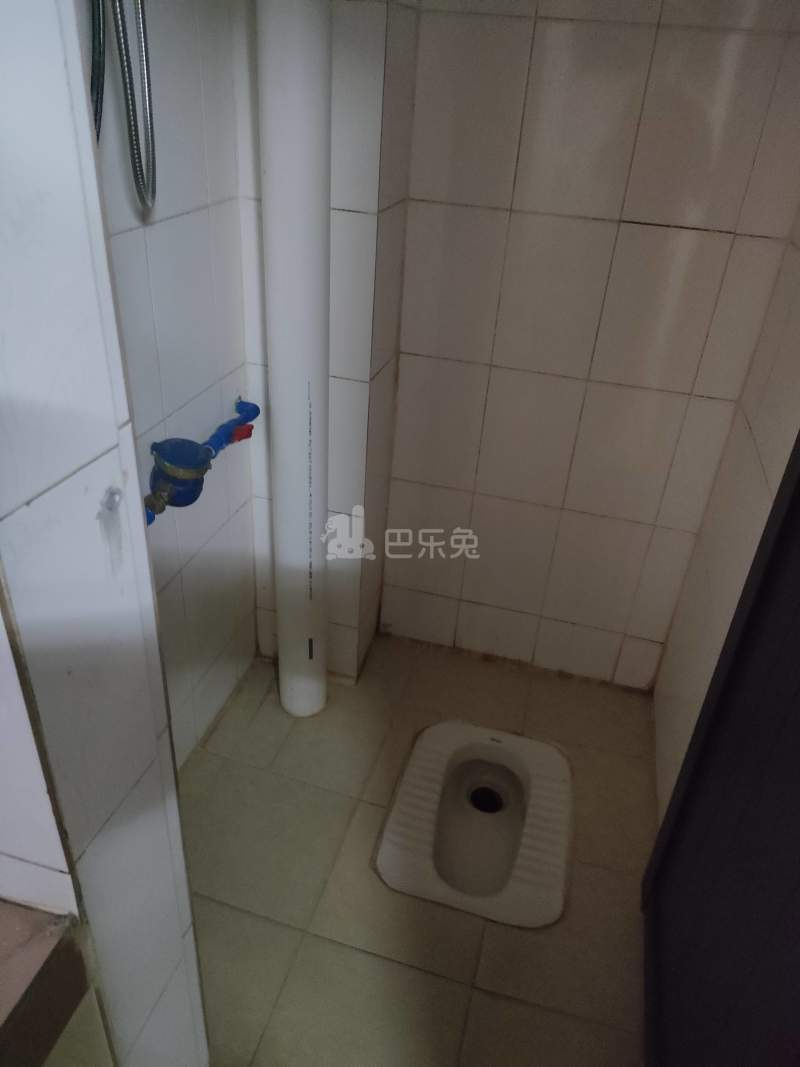 植村五路东二区一巷8号10000905卫生间图7