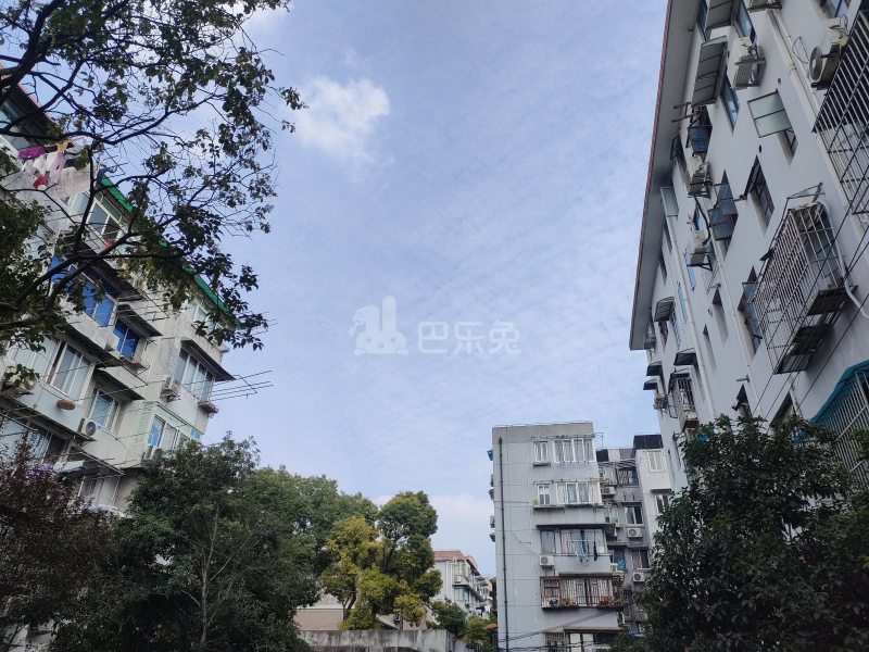 共和二村10010197周边环境图16