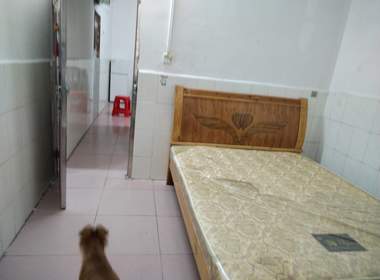 沙涌北龙船头二巷3号 1室1厅1卫