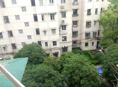 国和一村 1室1厅1卫