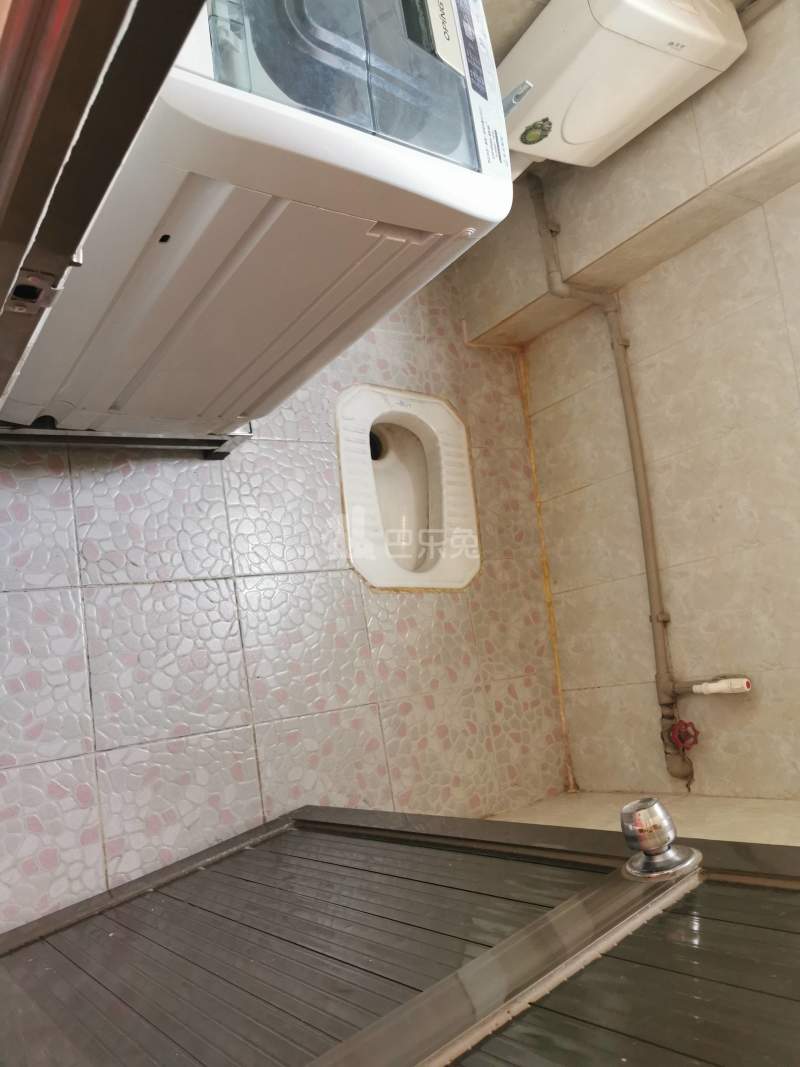 东联村巷心里南巷4号10041492卫生间图9