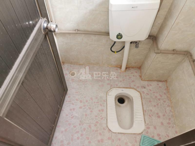 东联村巷心里南巷4号10041543卫生间图10