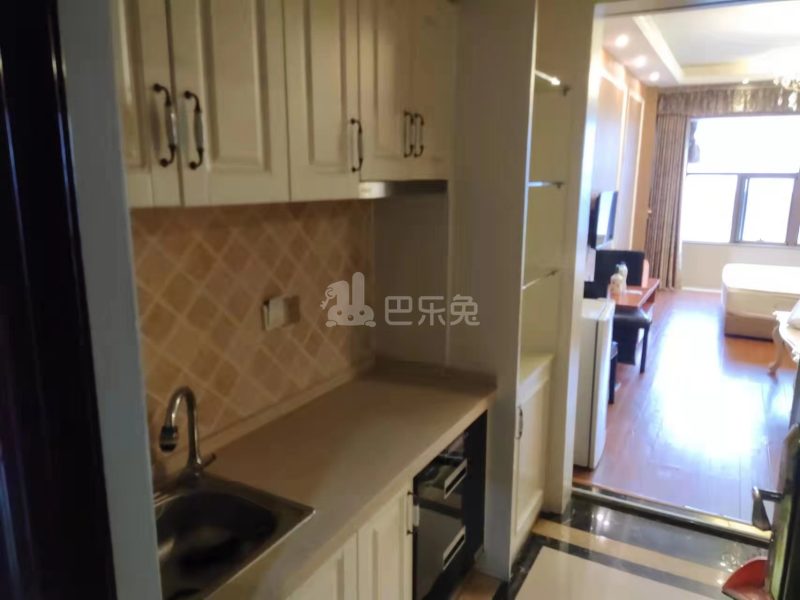 财富商厦10046843厨房图3