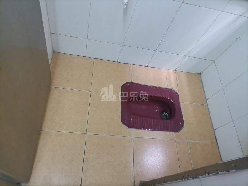 黄村车水步大街11号10050552卫生间图12