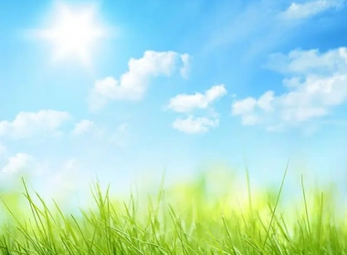 白云堡豪苑 1室1厅1卫