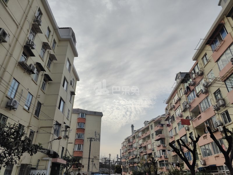 陆凌新村10073635周边环境图9