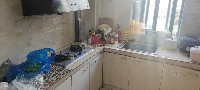 众众德尚世嘉西区1009497厨房图7