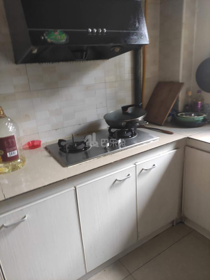 众众德尚世嘉西区1009497厨房图4