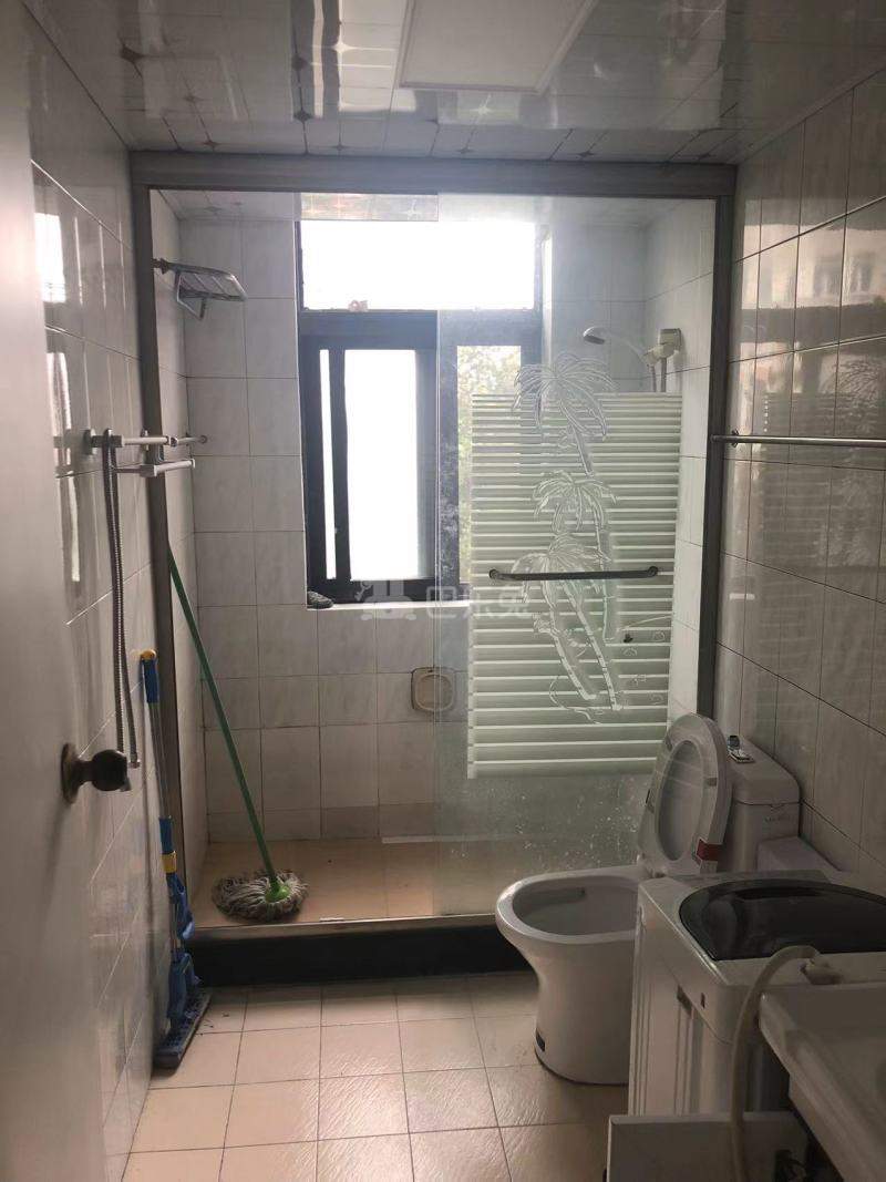 东郊村10100328卫生间图1