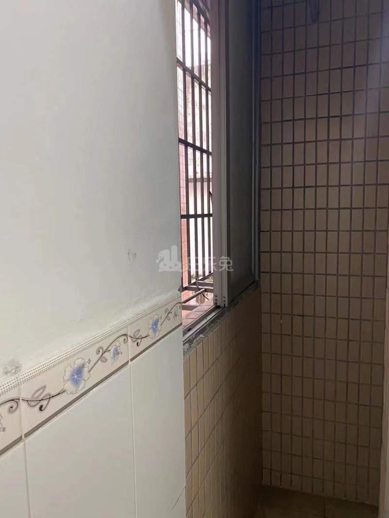 厦滘村10141745周边环境图3