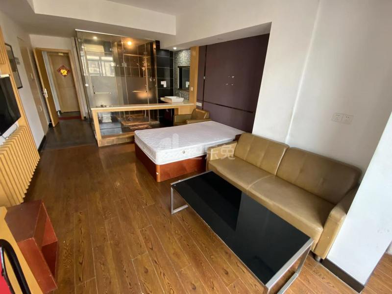 明珠公寓（振新店）10142450周边环境图3