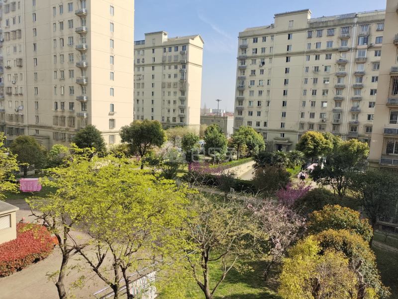 紫竹雅苑（草高支路1050弄）10143848周边环境图9