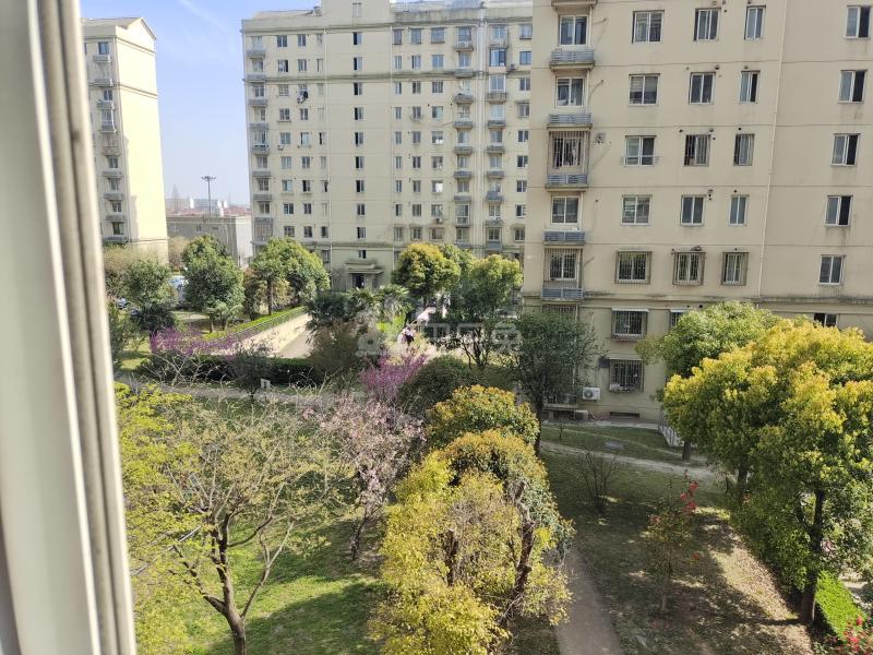 紫竹雅苑（草高支路1050弄）10143848周边环境图7