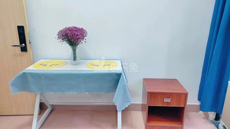 棠下村(白云区三元里棠下三官后街20号)10144344周边环境图6