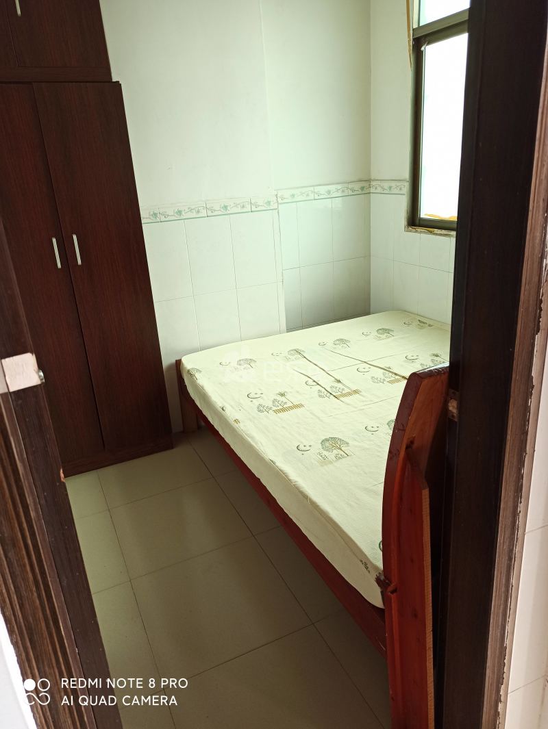 新科村10146216卧室图0