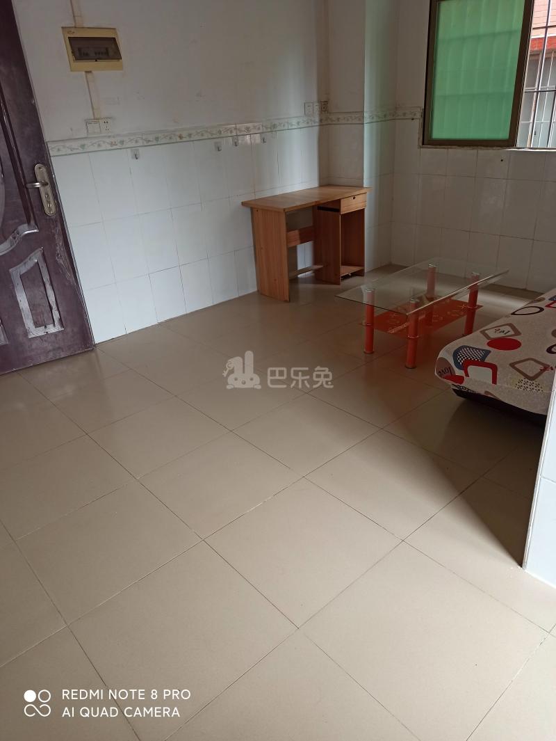 新科村10146216周边环境图1