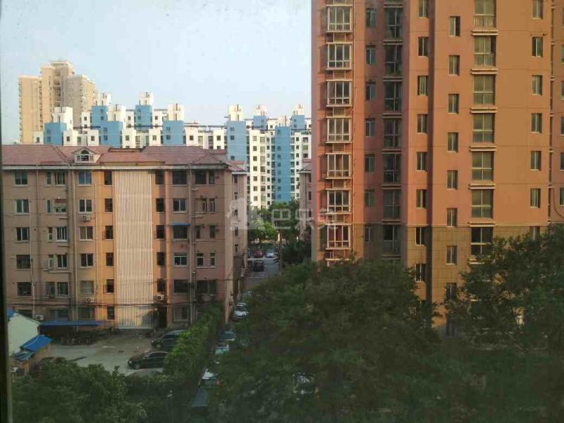 梅花村（翔殷路873弄）13495449周边环境图7