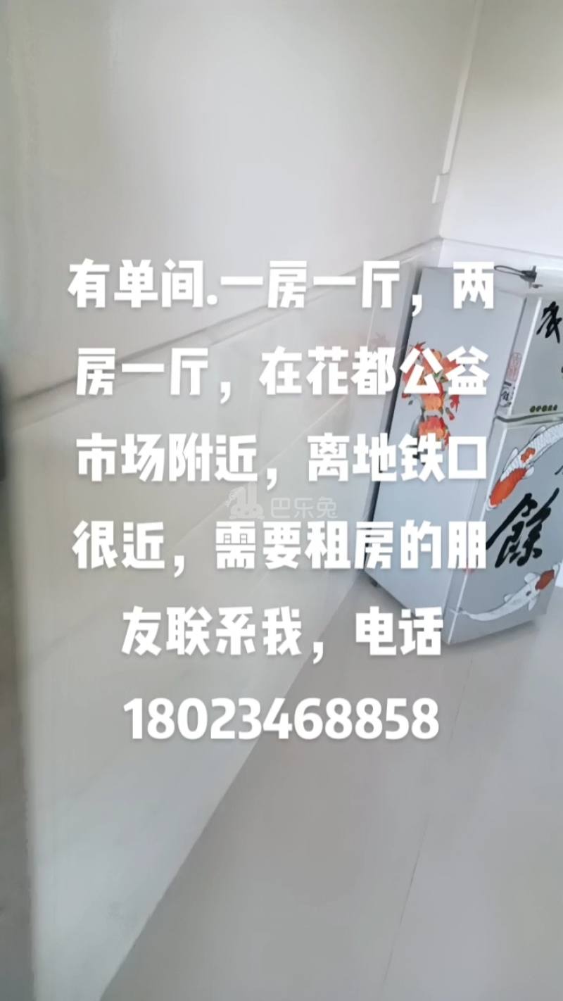 公益村10151872周边环境图1