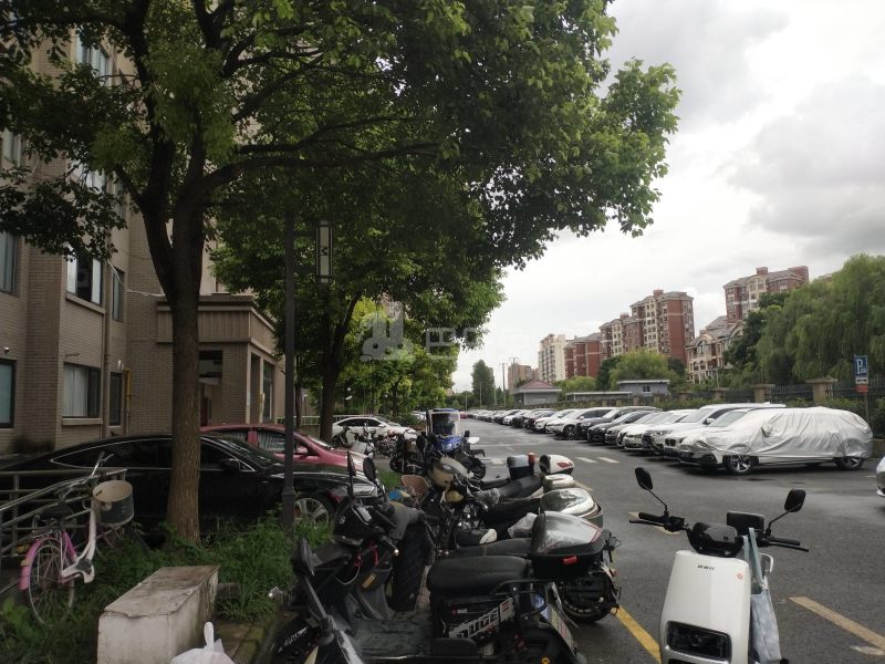 嘉怡坊10164834周边环境图9