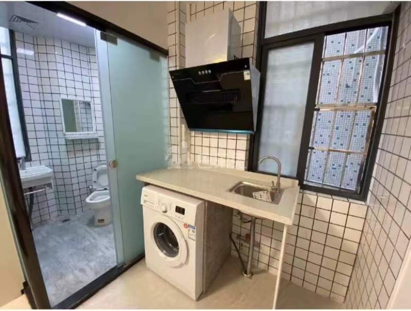 黄陂村10165826卫生间图1