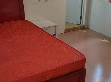 东约新村 2室1厅2卫