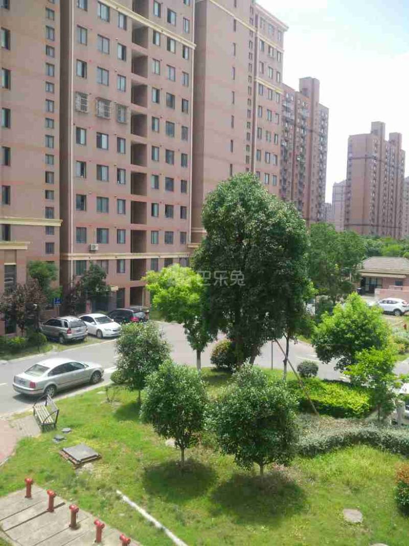 古楼新苑西区1682162周边环境图11