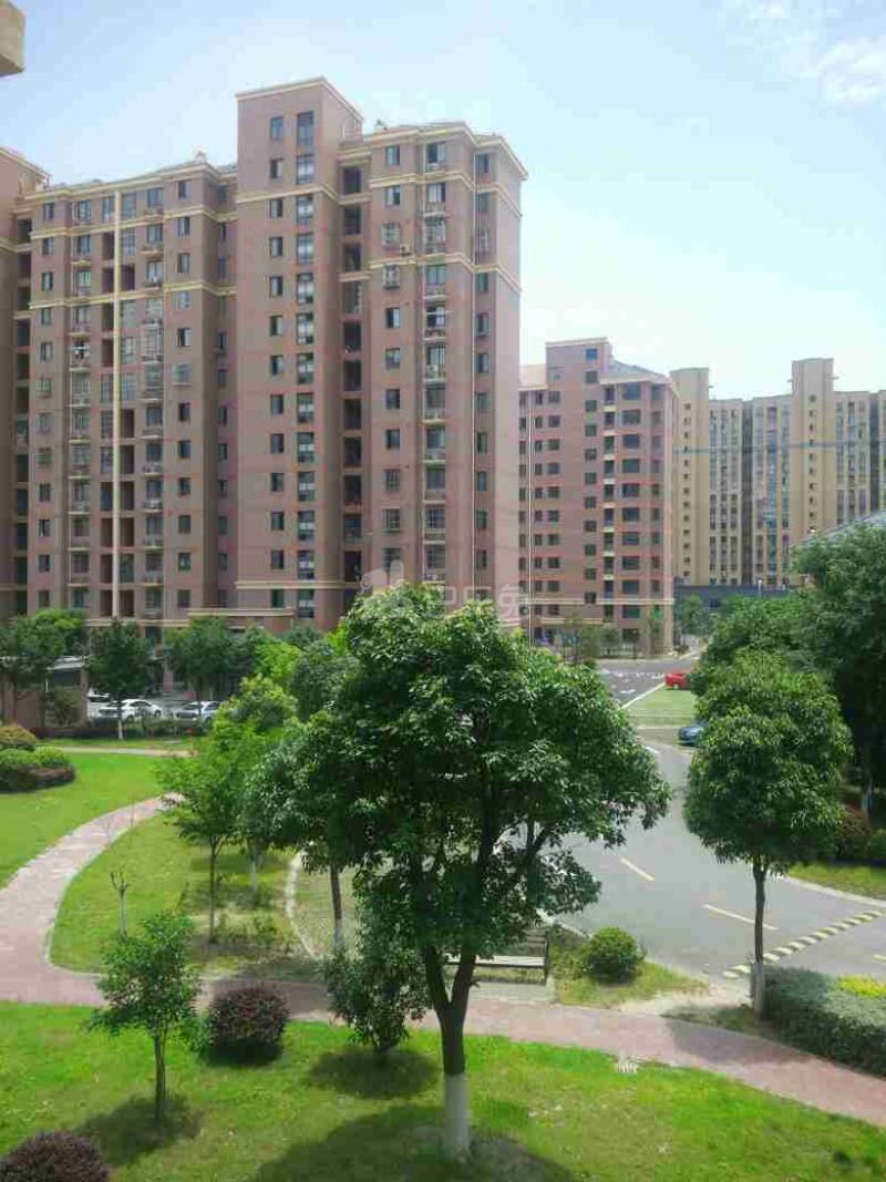 古楼新苑西区1682162周边环境图10