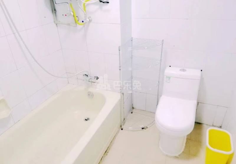 黄陂村10169335卫生间图1