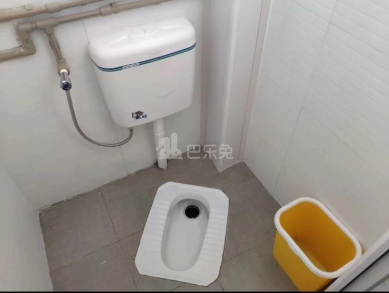 黄陂村10169352卫生间图1