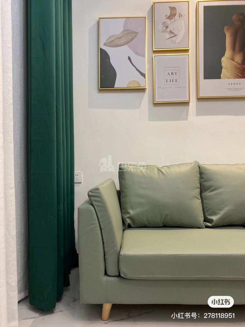 清布村10169475客厅图4