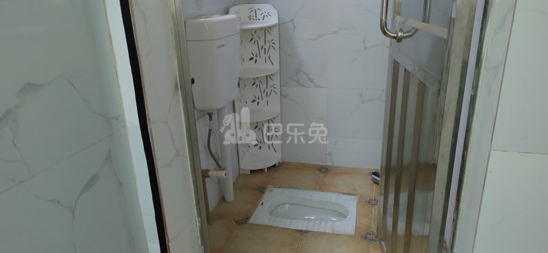 清布村10172635卫生间图1