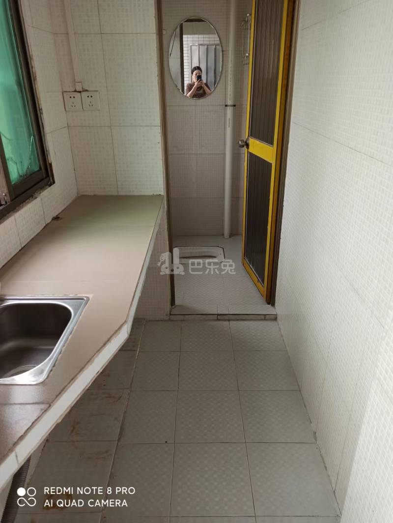 新科村10174403周边环境图2