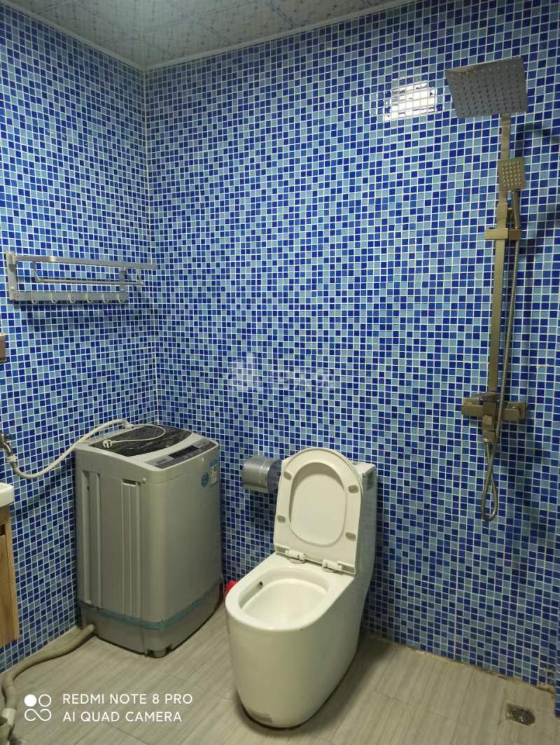 永泰村（白云区）10174423卫生间图2