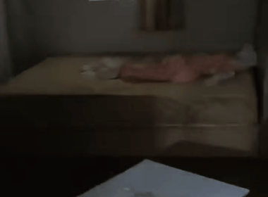 塘头村 1室1厅1卫