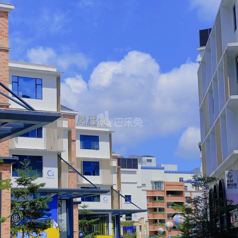 永泰村（白云区）10175559周边环境图2