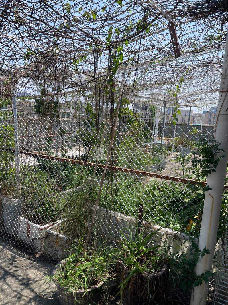 田美村10178149周边环境图2