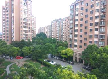 金桥新城 1室1厅0卫