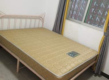 黄村石桥头下八巷七号 