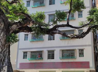 莲塘村（花都） 2室1厅1卫