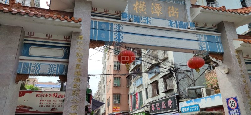 横潭村10185799周边环境图0