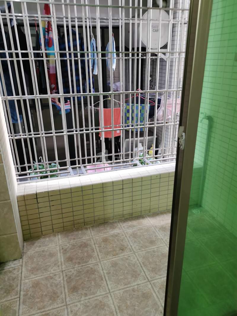 莲塘村（花都）10186776周边环境图2