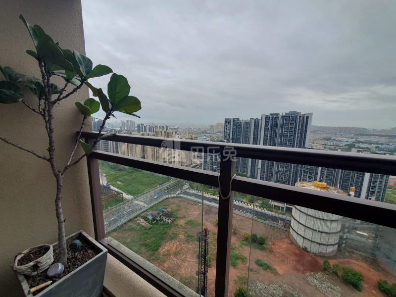 西塱村10190108周边环境图2