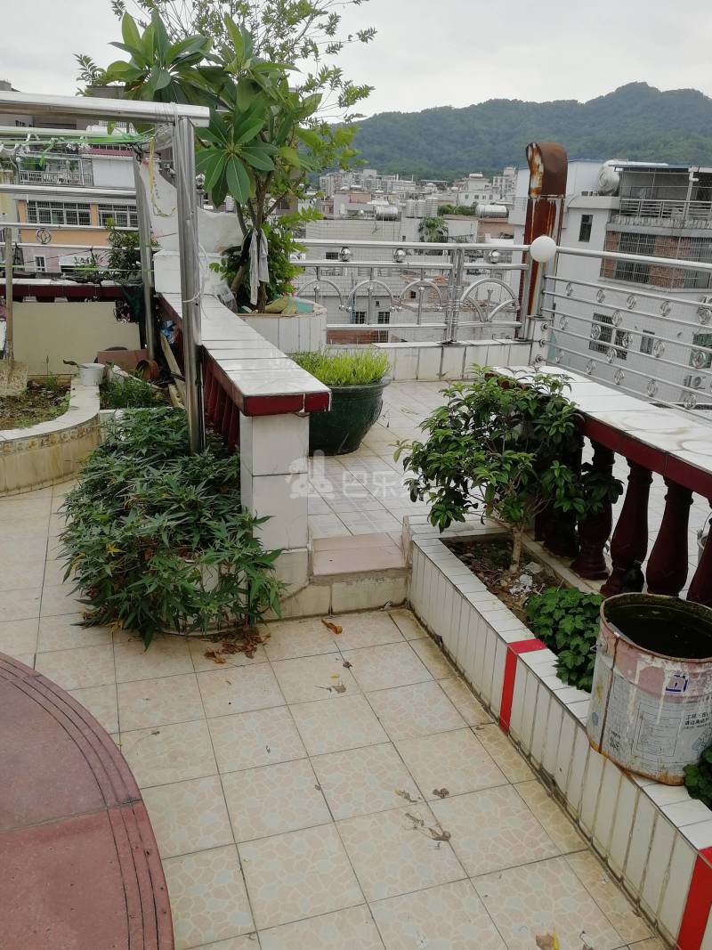 永泰村（白云区）10190469周边环境图1