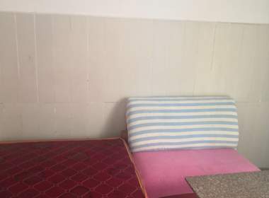 沙头新村 1室0厅1卫